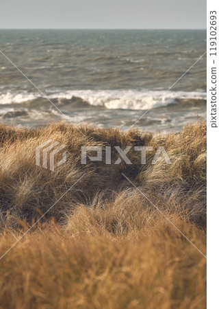 Dunes at Danish coast covered in grass Dunes at Danish coast covered in grass 119102693