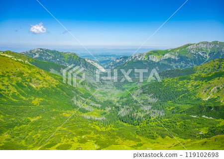 A breathtaking landscape captures the lush green valleys of the Western Tatras. The mountains rise majestically, showcasing diverse flora against a clear blue sky. A breathtaking landscape captures the lush green valleys of the Western Tatras. The mountains rise majestically, showcasing diverse flora against a clear blue sky. 119102698