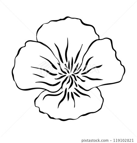 black and white line illustration of Eschscholzia flower on a white background 119102821