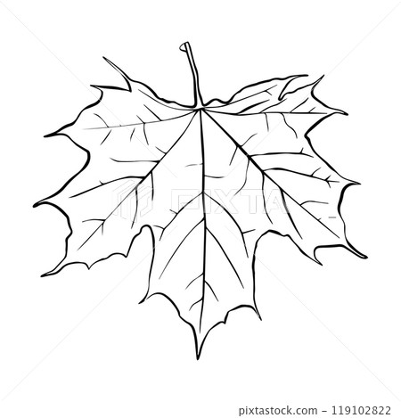 Maple leaf continuous one line art drawing of leaf decorative icon outline vector art illustration 119102822