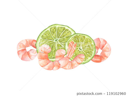 Tasty fresh peeled prawn with lime slices watercolor illustration. Healthy boiled unshelled tiger shrimps served citrus fruit composition for menu decor, recipe design. Seafood top view 119102960