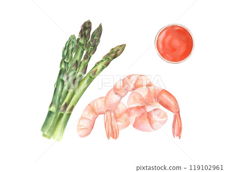 Asparagus bunch, boiled peeled shrimp with tomato sauce in bowl watercolor illustration. Heathy dish with green vegetables, seafood, ketchup portion top view. For menu design, recipe decor 119102961