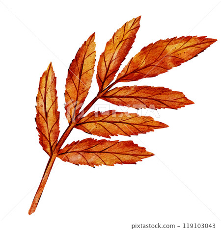 Watercolor illustration of an autumn branch with vibrant orange leaves. The delicate details and warm colors highlight the seasonal beauty of fall, making it ideal for autumn-inspired design Watercolor illustration of an autumn branch with vibrant orange leaves. The delicate details and warm colors highlight the seasonal beauty of fall, making it ideal for autumn-inspired design 119103043
