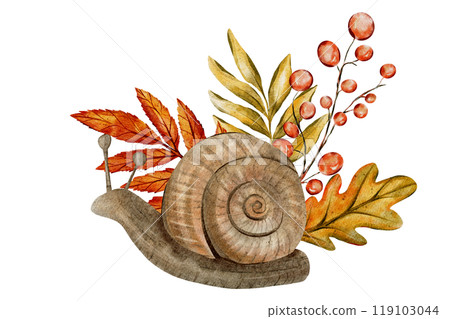 Watercolor illustration of a snail with a spiral shell, surrounded by autumn leaves and berries. The earthy colors and detailed design give it a seasonal, nature-inspired, artistic touch. Watercolor illustration of a snail with a spiral shell, surrounded by autumn leaves and berries. The earthy colors and detailed design give it a seasonal, nature-inspired, artistic touch. 119103044