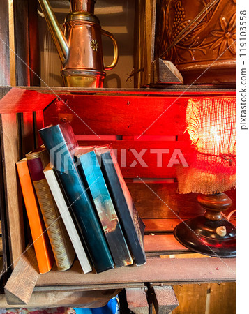 Collection of colorful books rests on a wooden shelf next to warm, glowing lamp. Cozy, inviting atmosphere perfect for reading and relaxation Collection of colorful books rests on a wooden shelf next to warm, glowing lamp. Cozy, inviting atmosphere perfect for reading and relaxation 119103558