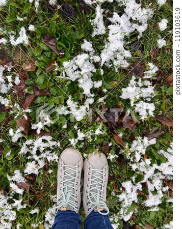 Pair of shoes stands on a snowy patch of grass, capturing the transition between autumn and winter. Crisp contrast of green leaves and white snowflakes creates a vibrant seasonal scene Pair of shoes stands on a snowy patch of grass, capturing the transition between autumn and winter. Crisp contrast of green leaves and white snowflakes creates a vibrant seasonal scene 119103619