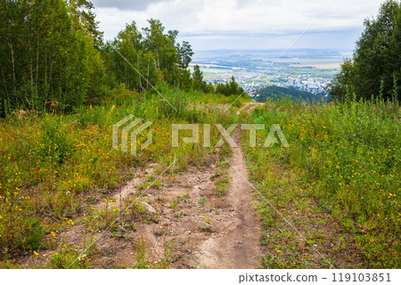 Rural Russian landscape with mountain road going down to Belokurikha 119103851