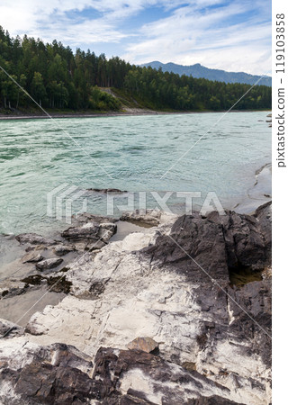 Rocky coast of Katun river, vertical photo taken on a summer day. Altai Republic 119103858