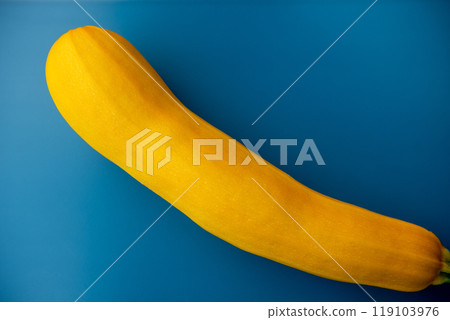 Vegetable from the garden. Yellow zucchini on the blue background. Vegetable from the garden. Yellow zucchini on the blue background. 119103976