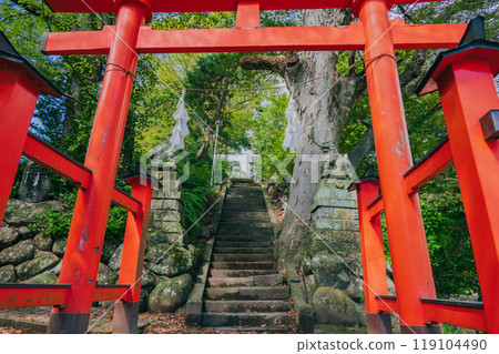 伊綱神社【長野市】 伊綱神社【長野市】 119104490