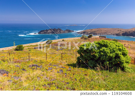Coastal Landscape of Cap de Creus Natural Park near Cadaques, Spain Coastal Landscape of Cap de Creus Natural Park near Cadaques, Spain 119104608