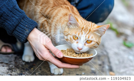 Orange Tabby Cat Eating from a Bowl Outdoors, AI 119104923
