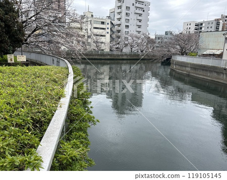 This is the view of Shiomi Canal from Shiomi Bridge, a bridge in Koto Ward, Tokyo. This is the view of Shiomi Canal from Shiomi Bridge, a bridge in Koto Ward, Tokyo. 119105145