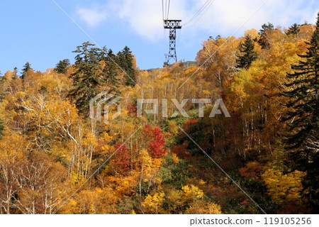 日本最早的秋葉,北海道大雪山旭岳 日本最早的秋葉,北海道大雪山旭岳 119105256