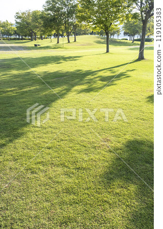 在公園草蔭下的商場上 119105383