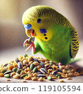 虎皮鸚鵡吃種子 119105594