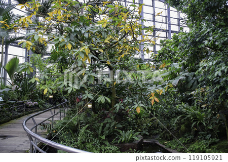 大阪府大阪市鶴見區作野花館/綠地公園2 119105921