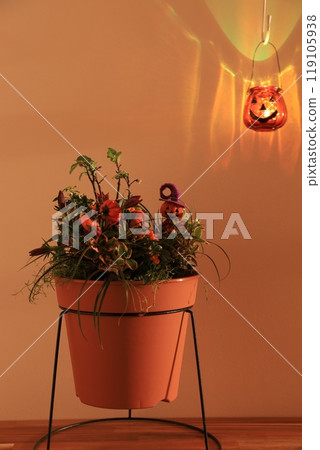 Halloween themed planting Halloween themed planting 119105938