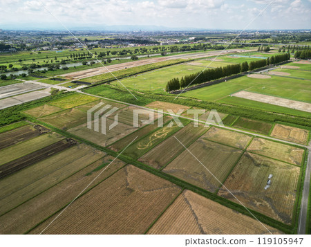 Aerial view of rice fields 119105947
