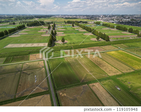 Aerial view of the countryside 119105948