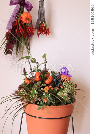 萬聖節圖像集合 萬聖節圖像集合 119105966