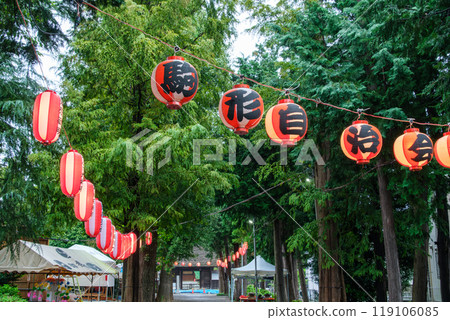 沿著雪松樹的秋季節日 119106085