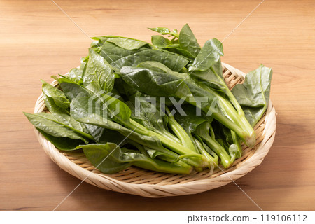 宮城縣的筒菜（空心菜） 119106112