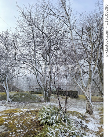 A view of red wooden houses on Vrango Archipelago island . 119106280