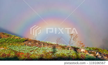 Climbing Mt. Karamatsu in autumn (Brocken phenomenon) 119106567
