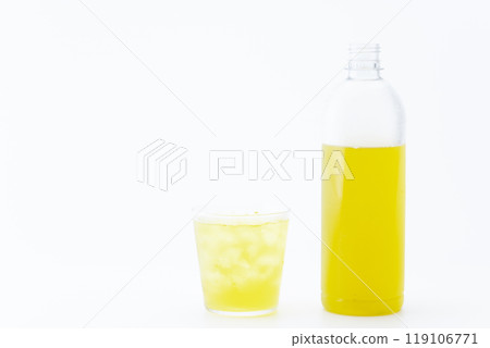 塑膠瓶和玻璃中的綠茶 119106771