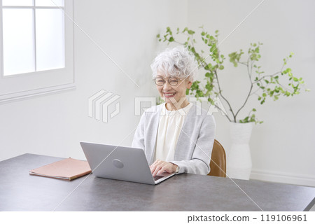 Elderly businesswoman working on laptop in office Elderly businesswoman working on laptop in office 119106961