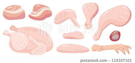 生雞肉插圖集 119107101