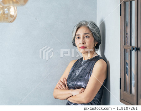 高級女性的肖像 高級女性的肖像 119107261