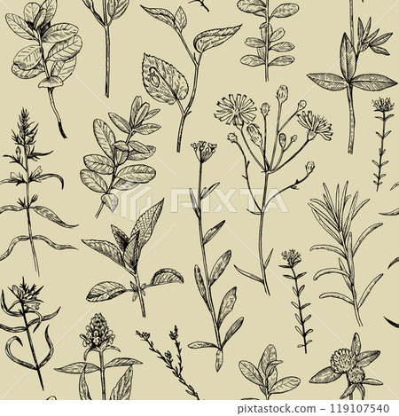 Seamless pattern with wild plants and flowers,  illustration in engraving style. 119107540