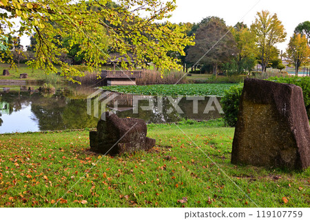 秋色開始變化，桶川市大池湖、城山公園 119107759