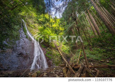 Suehiro Falls (Otani, Yabu City, Hyogo Prefecture) Suehiro Falls (Otani, Yabu City, Hyogo Prefecture) 119107776