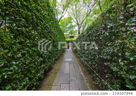 The gardens of Shogunzuka Seiryuden (Yamashina Ward, Kyoto City, Kyoto Prefecture) The gardens of Shogunzuka Seiryuden (Yamashina Ward, Kyoto City, Kyoto Prefecture) 119107844