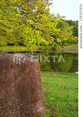 秋色開始變化,桶川市大池湖、城山公園 秋色開始變化,桶川市大池湖、城山公園 119107854