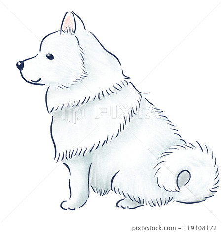 A hand-drawn illustration of a sitting Samoyed 119108172