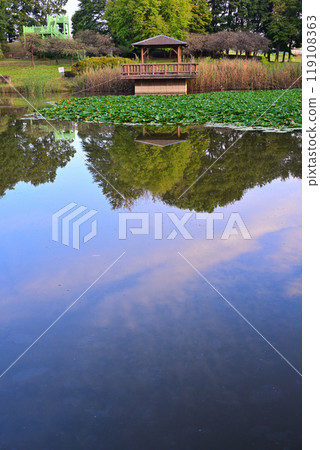 秋天的顏色開始變化，水鏡，大池湖，城山公園，桶川市 119108363
