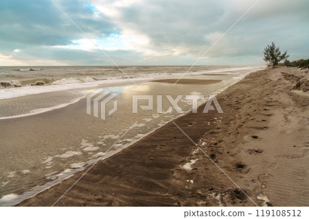 Gulf Coast beach 119108512