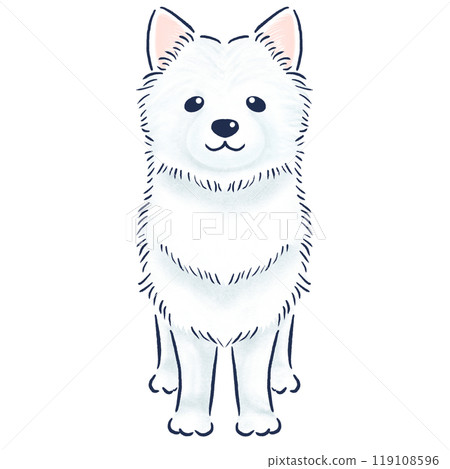 Colored pencil hand-drawn illustration of a Samoyed standing front view Colored pencil hand-drawn illustration of a Samoyed standing front view 119108596