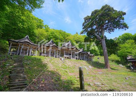 Goshado Goshado 119108610