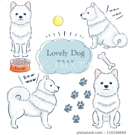 Samoyed colored pencil hand drawn illustration set Samoyed colored pencil hand drawn illustration set 119108669
