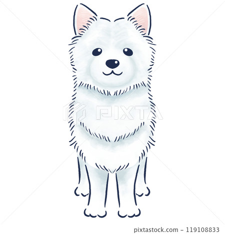 薩摩耶站在前面的水彩風格手繪插圖 119108833