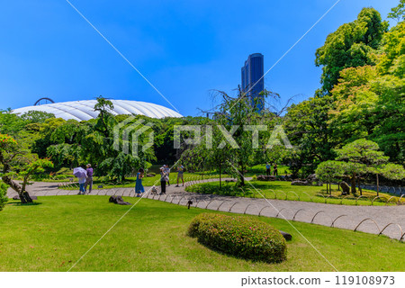 Koishikawa Korakuen Garden in Bunkyo Ward, Tokyo (fresh greenery and Tokyo Dome) 119108973