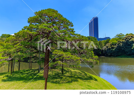 東京都文京區小石川後樂園（一鬆） 119108975