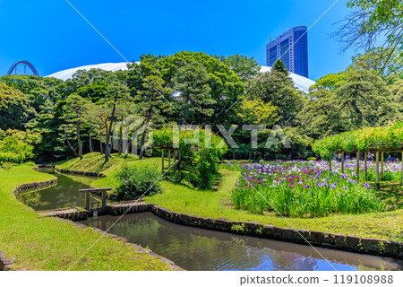 東京文京區小石川後樂園（神田上水遺址） 119108988