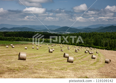 The land that signals the end of summer The land that signals the end of summer 119109142