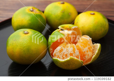 早熟橙子 119109182